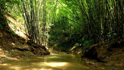 Moulvibazar, Bangladesh-September 10, 2018: On the way to Hum hum Waterfall looking a jungle way...