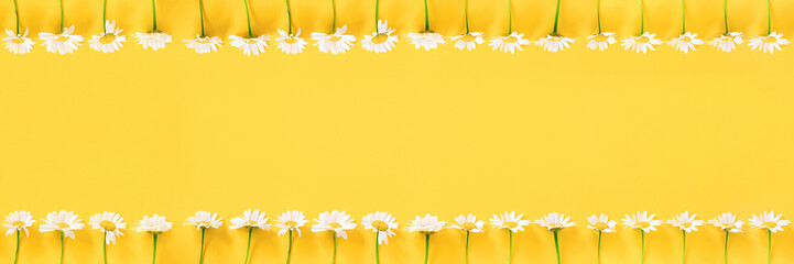 Banner made with white chamomile flowers on yellow background. Concept Hello summer Template for design, greeting card, invitation, postcard Flat Lay Top view Copy space