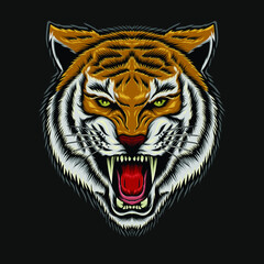 Tiger head illustration. Vector tiger. design for T shirt , mascot, logo team, sport, metal printing, wall art, sticker