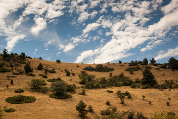 Fototapeta premium Sierra de Guadarrama National Park. View of the mountains in Valsain, Segovia. Spain