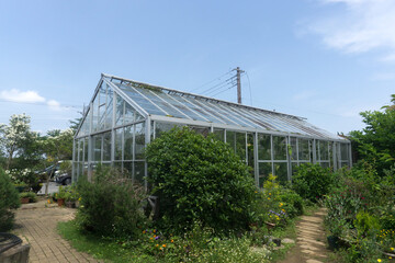 温室栽培 グリーンハウス	
