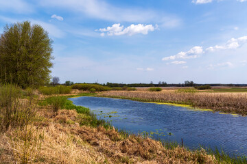 Piękna i dzika rzeka Narew, Podlasie, Polska © podlaski49