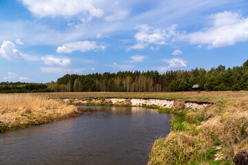 Piękna i dzika rzeka Narew, Podlasie, Polska © podlaski49