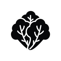 Black solid icon for lettuce