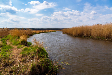 Piękna i dzika rzeka Narew, Podlasie, Polska © podlaski49