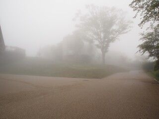 濃霧の中の道と木