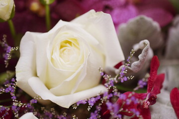 Close up beautiful White Rose flower bouquet