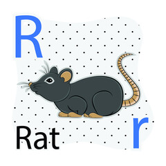 R-Rat. A-Z alphabet animal collection. learning and teaching materials. for the development of children. online learning.
