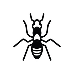 Black solid icon for ant