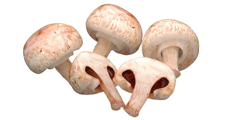 mushroom