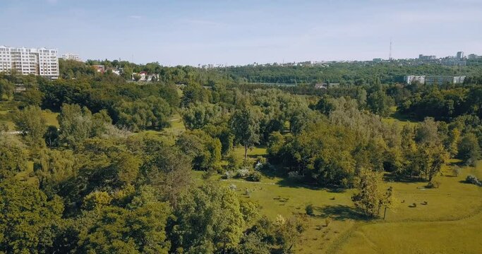 4k Drone footage in park during summer time, green city, break time