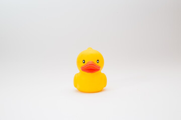 Yellow rubber duck on white background