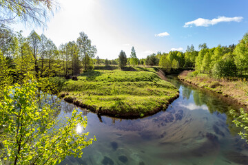 Fototapeta premium Forest river with clear water, beautiful landscape in Russia.