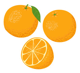 Set of oranges fruits. Whole and cut in half. Isolated on a white background. Vector illustration.