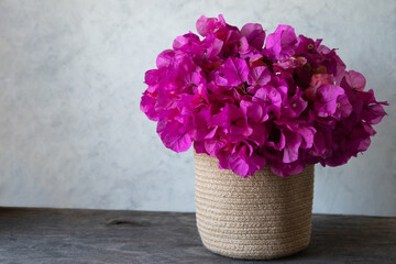 Bougainvillea flowers in a cotton busket
