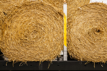 Bale of hay outdoors