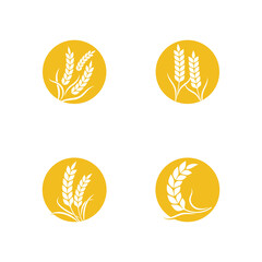 Agriculture wheat Template vector icon design