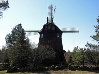 wybudowany pod koniec 19 wieku drewniany mlyn wiatrak typu holender w miejscowosci studzianki na podlasiu w polsce  © Jacek Sakowicz
