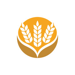 Agriculture wheat Template vector icon design