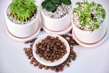 Coffee roasted medium Placed on a white table