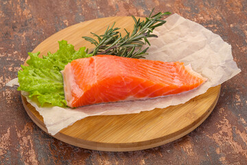 Piece of raw salmon