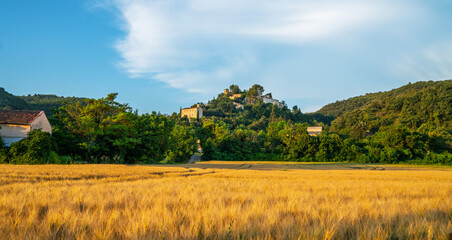 Wheat field in autumn or summer sunny day. Rural landscape with cloudy sky background. Golden harvest of wheat in evening. Beautiful nature landscape. Rural scenery under shining sunlight in France.