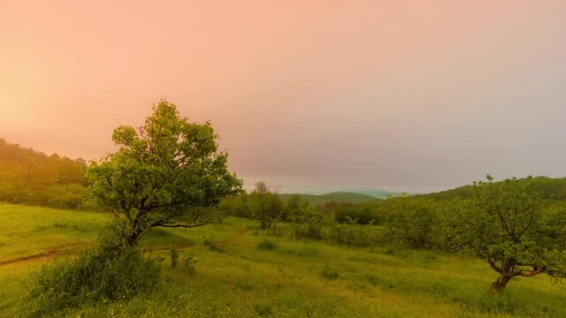 Cloudy colorful sunrise at the meadow
