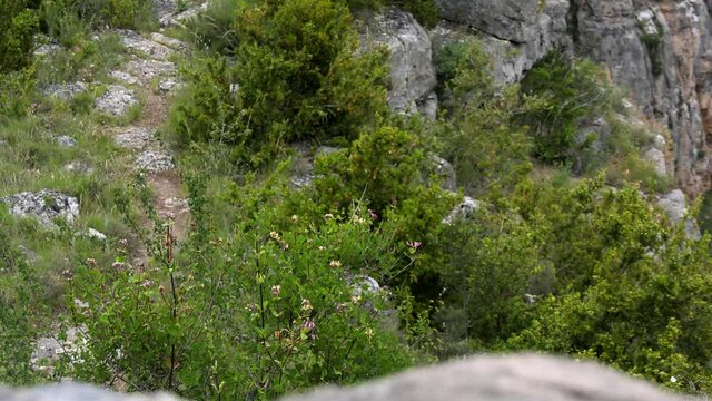 Landscape in the canyon of the river leza, la rioja, spain. Leonard's eagle's nest