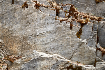 rock formation close-up. An old abandoned quarry