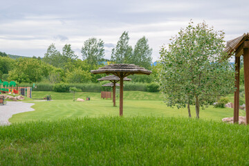Green lawn. Umbrellas with a reed roof, playground, walkways, decorative trees. Selective focus. Concept - landscape design, space summer vacation.