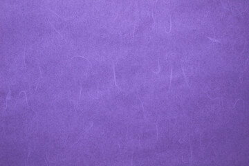 和紙_高級_すき紙_紫