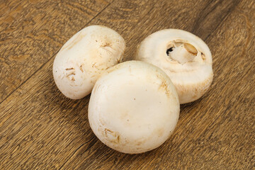 Raw Champignon heap for cooking