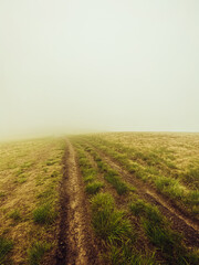 Misty landscape in vintage style
