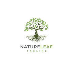Root Of The Tree logo illustration. Vector silhouette of a tree.