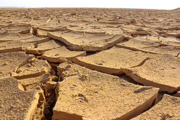sand castle in the desert, dry cracked paddy filed 