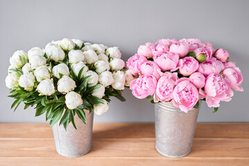Different varieties of peonies in a metal vases. Beautiful peony flower for catalog or online store. Floral shop concept . Beautiful fresh cut bouquet. Flowers delivery
