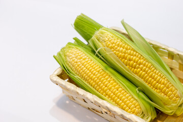 ２本の美味しそうなトウモロコシ