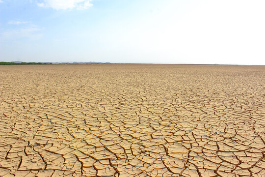 dry cracked soil