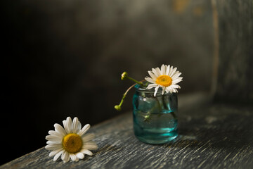 White daisy flowers in glass vase on wooden rustic chair, dark gray background. Vintage studio photography. Greeting card, natural light. Selective focus, copy space. Minimalism concept. Dark mood. - Powered by Adobe