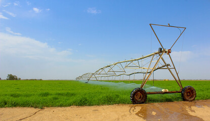 Green plant water supplying with a modern system 