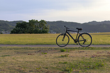 bicycle on path with mountains and trees in background