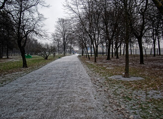 Obraz premium footprints in the newly fallen snow, Moscow