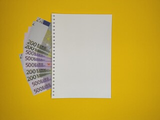 on a yellow background, a blue pen on the right diagonally on a Notepad with a copy space, from under it look out bills in 200 and 500 euros.