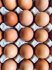 Closeup view of free range organic farm eggs in a traditional recyclable cardboard carton. Egg box details filling frame. Tray of thirty.