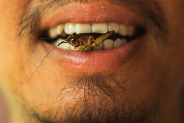 Asian young male eating cricket. Eating insect concept