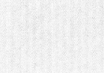 和紙_青海波4_白