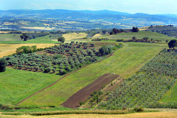Fototapeta na wymiar Sunny landscapes in the Molise countryside in southern Italy.