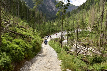 Turyści na szlakach w Tatrach, wakacje w górach