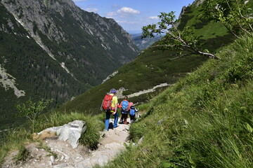 Turyści na szlakach w Tatrach, wakacje w górach - obrazy, fototapety, plakaty