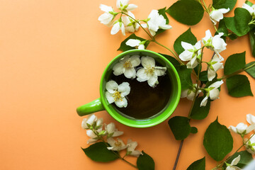 jasmine flowers and green cup of tea on background. Copy space and top view. Floral tea.